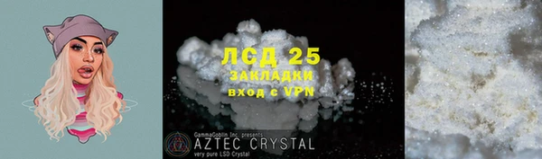 ПСИЛОЦИБИНОВЫЕ ГРИБЫ Беломорск