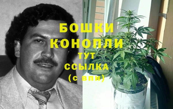 ПСИЛОЦИБИНОВЫЕ ГРИБЫ Беломорск