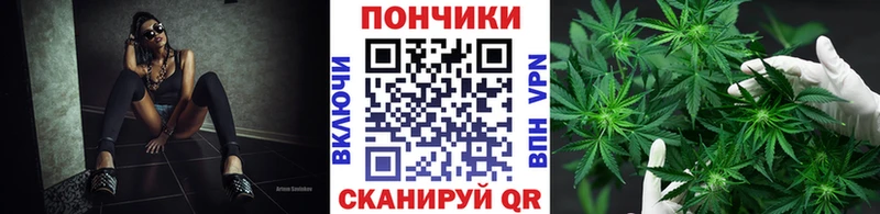 блэк спрут tor  Малмыж  Канабис сатива 